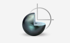 7.0-7.5mm AAAA Quality